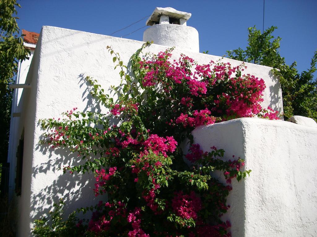 Patriko Country House Vori Exterior photo
